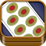 scopa android application logo